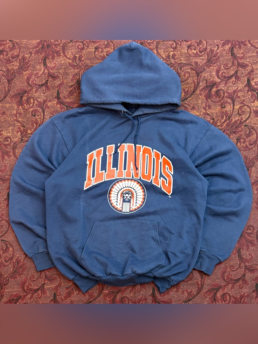 90s University of Illinois Fighting Illini Champion Hoodie